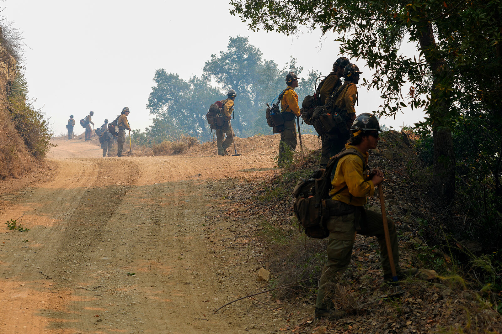 Section of Highway 1 closed as Timber Fire in Big Sur spreads