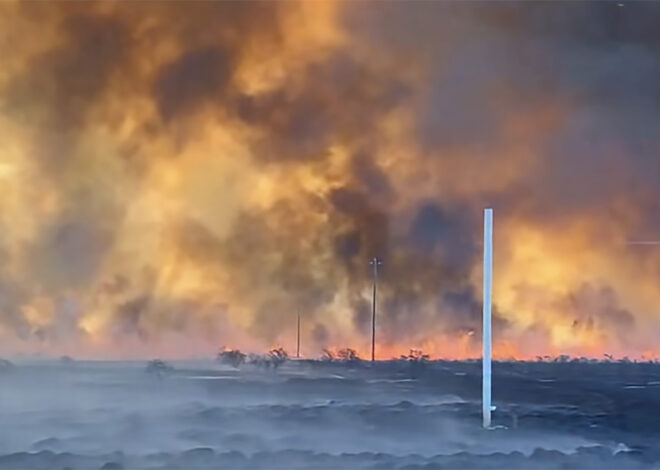Massive Central Valley grass fire balloons to 3,600 acres