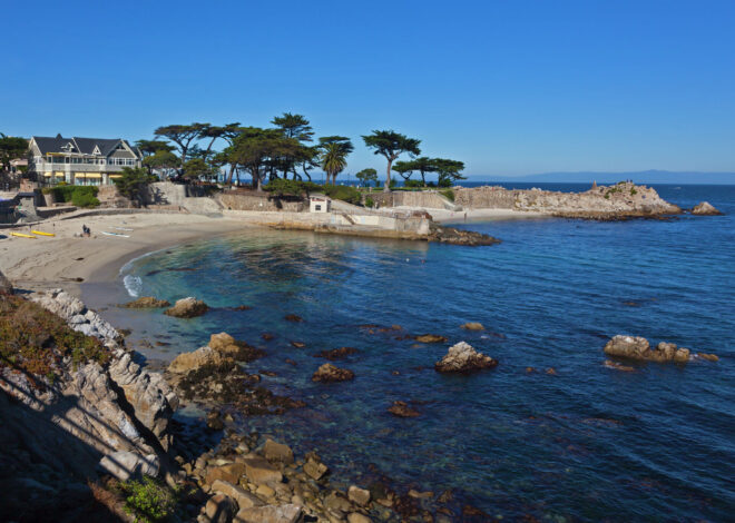 New details emerge from autopsy of Monterey swimmer killed by brutal shark bite