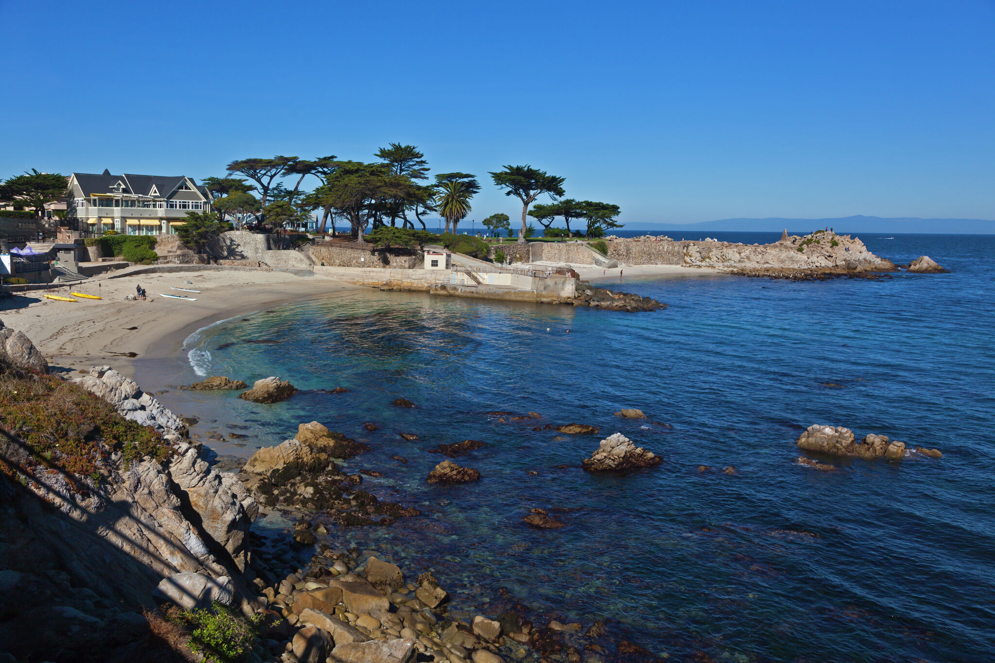 New details emerge from autopsy of Monterey swimmer killed by brutal shark bite