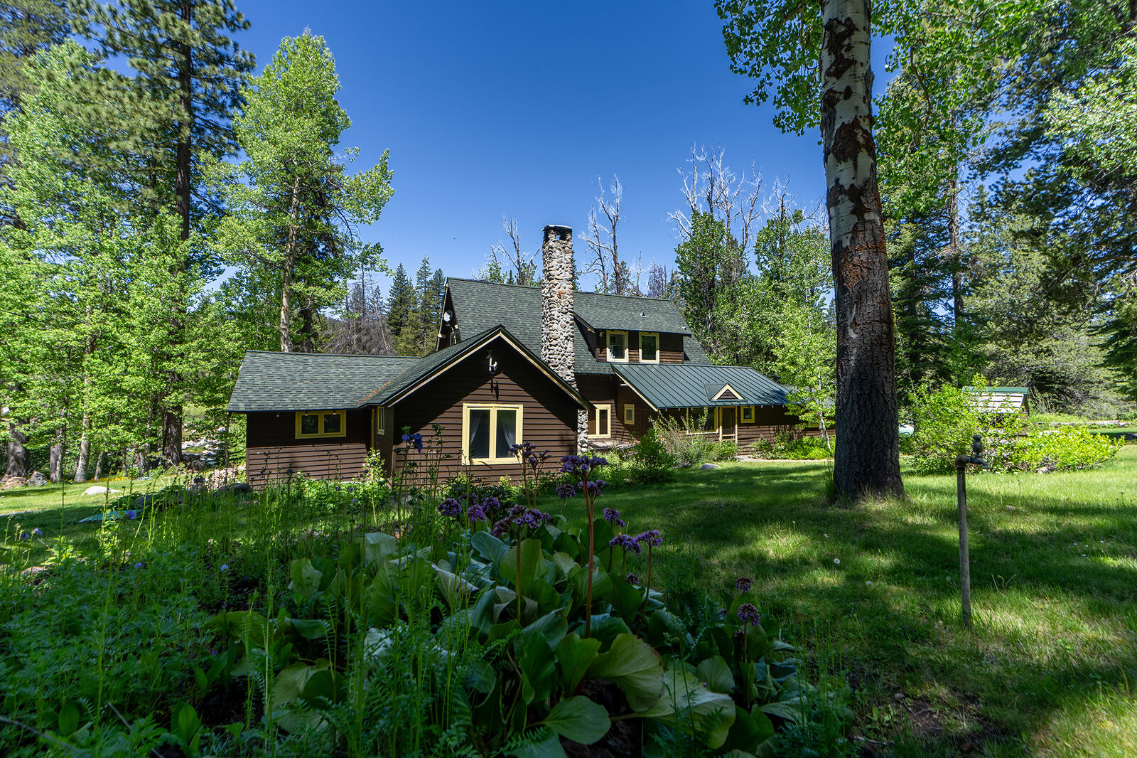 An heir to an SF coffee fortune and a secret hideaway in Lake Tahoe