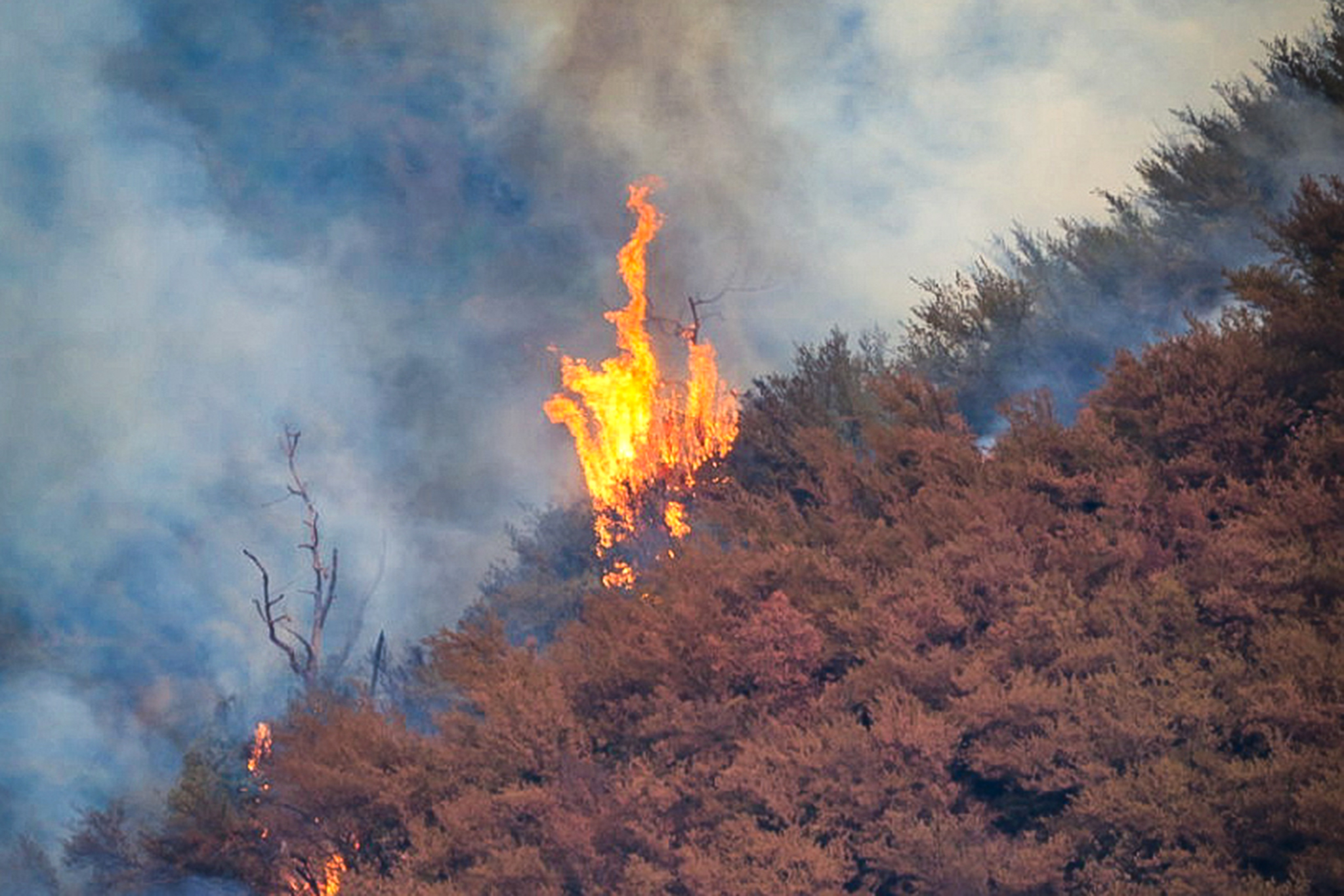 Expanded evacuation orders as Big Sur wildfires grow