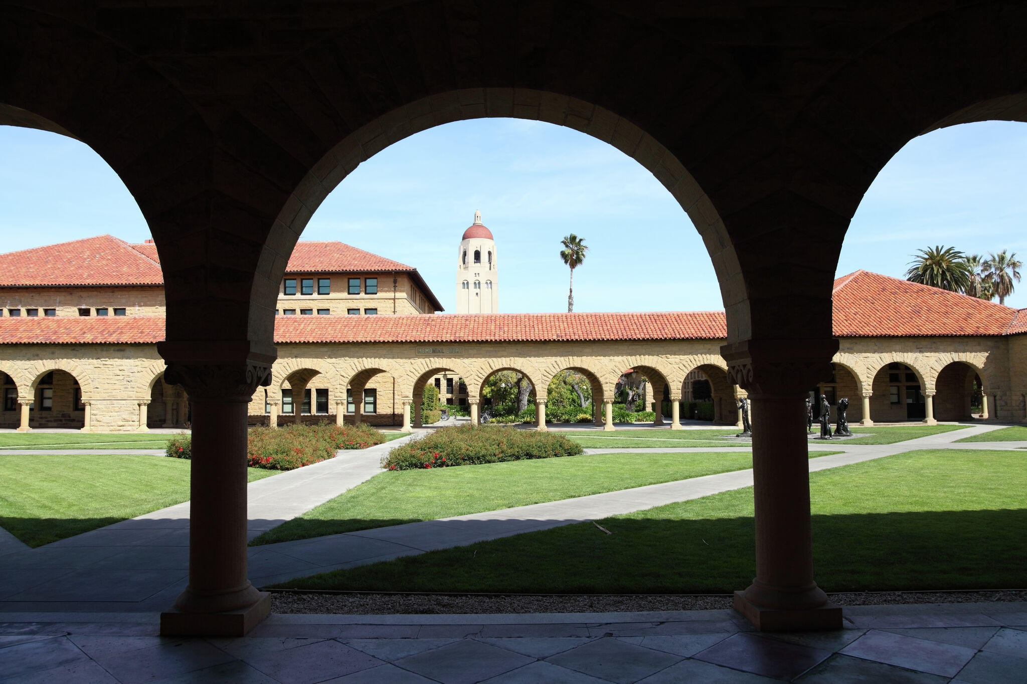 Stanford scientists discover cells that could hopefully break apart tumors