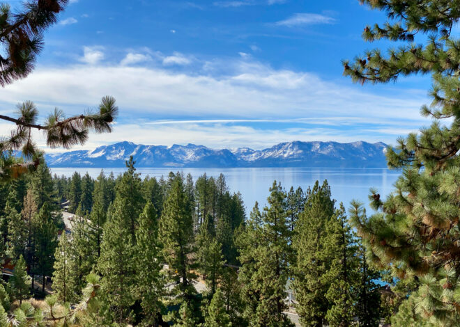 Lake Tahoe’s Incline Village aghast after trees criminally poisoned