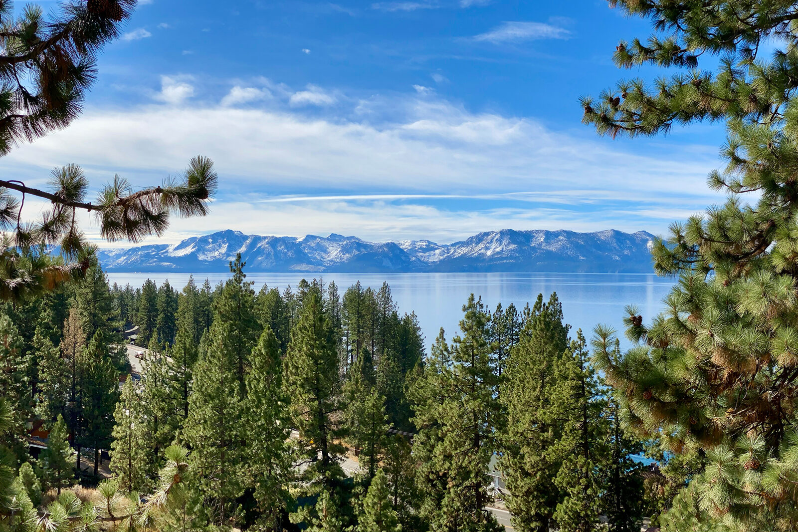 Lake Tahoe’s Incline Village aghast after trees criminally poisoned