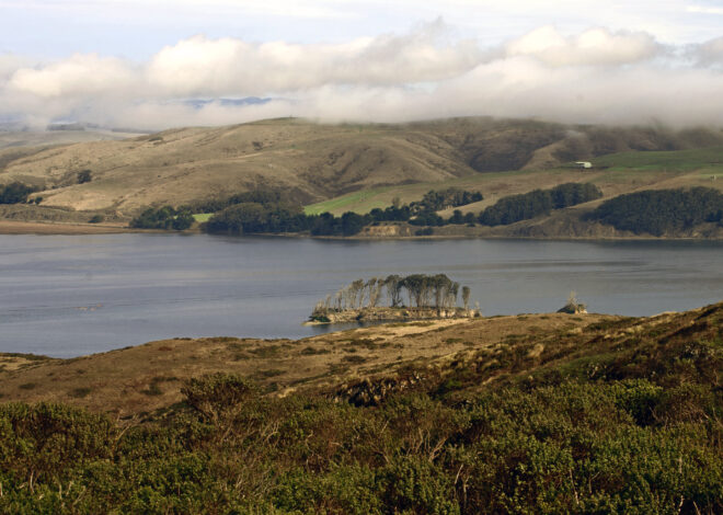 San Francisco man ID’d among 2 dead in Tomales Bay