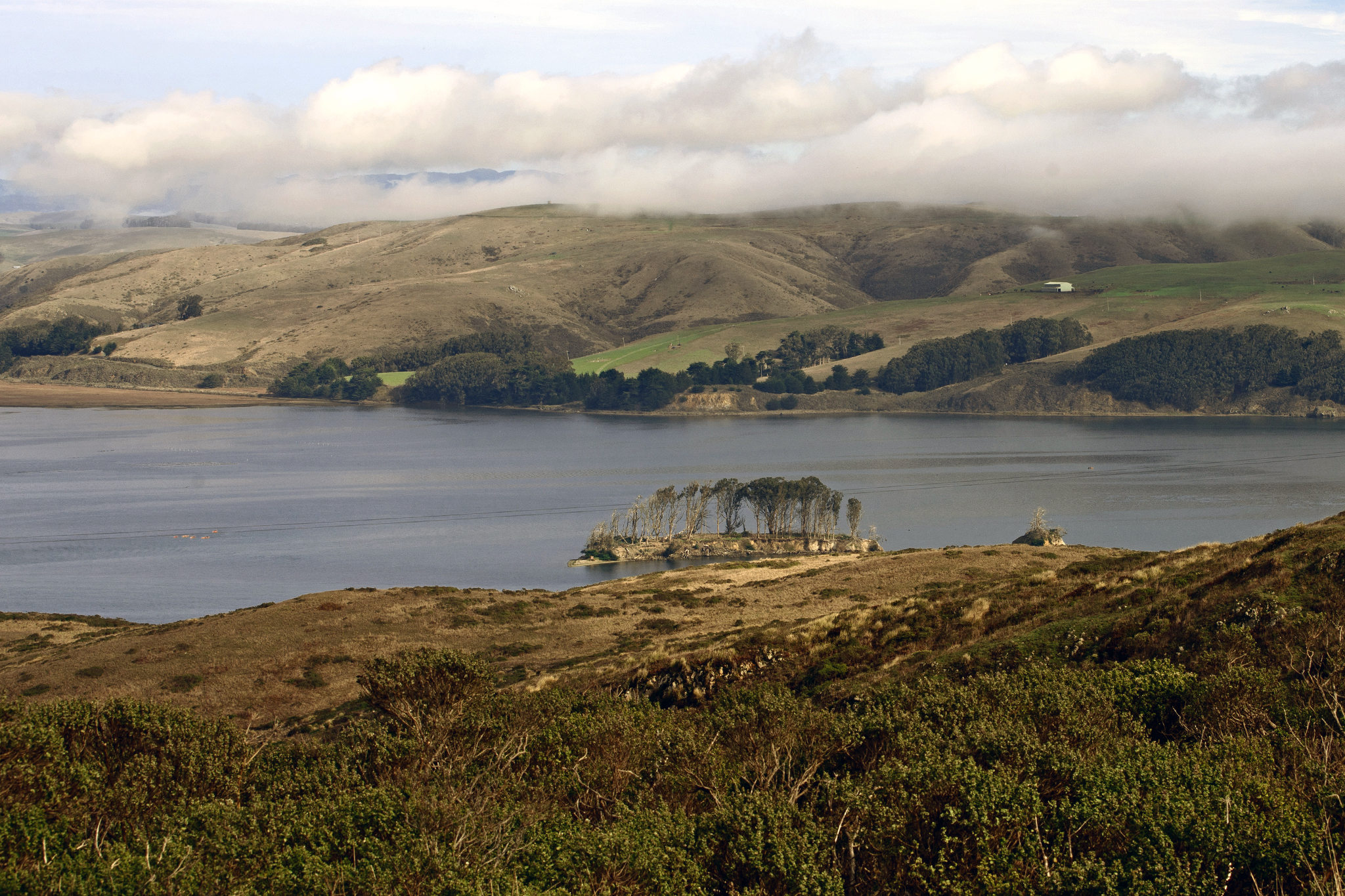 San Francisco man ID’d among 2 dead in Tomales Bay