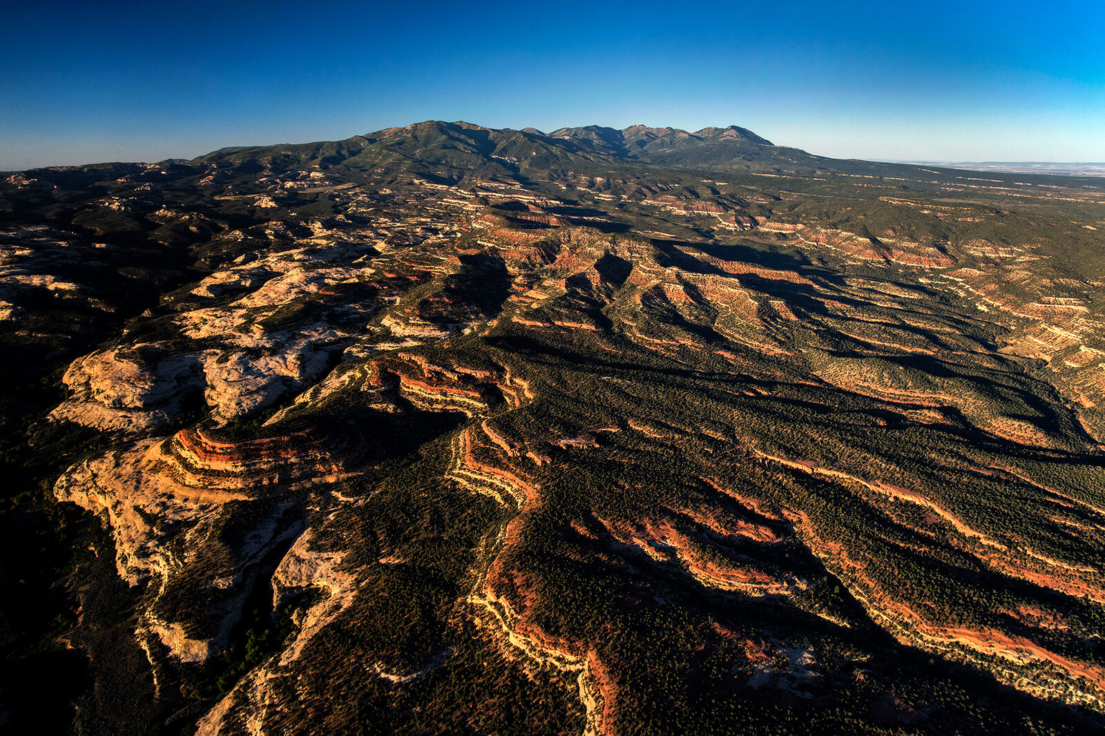 Mining claims appeared less than a day after Trump shrank 2 Utah national monuments