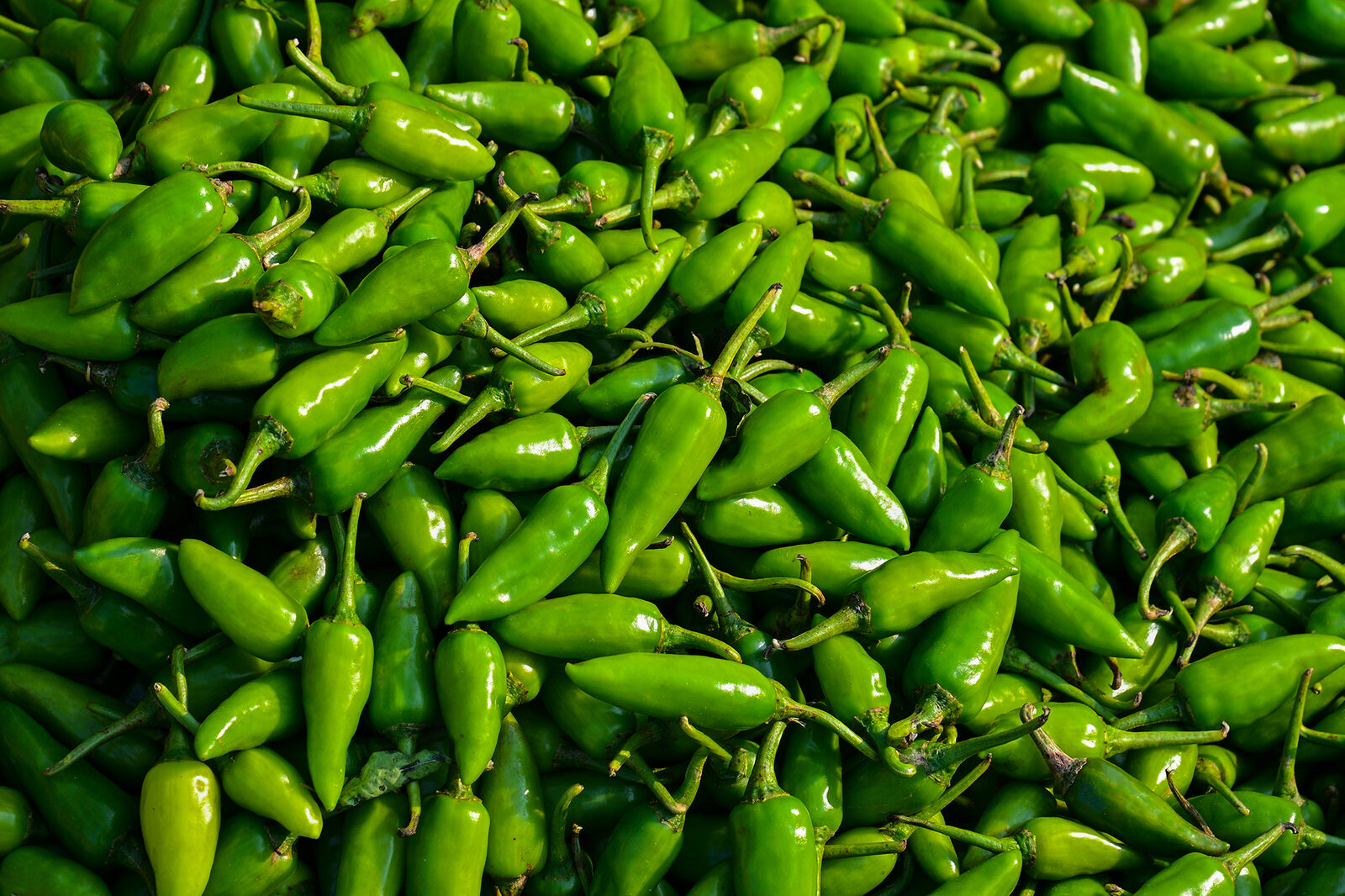 Experts quickly solve salmonella mystery linked to Taylor Farms