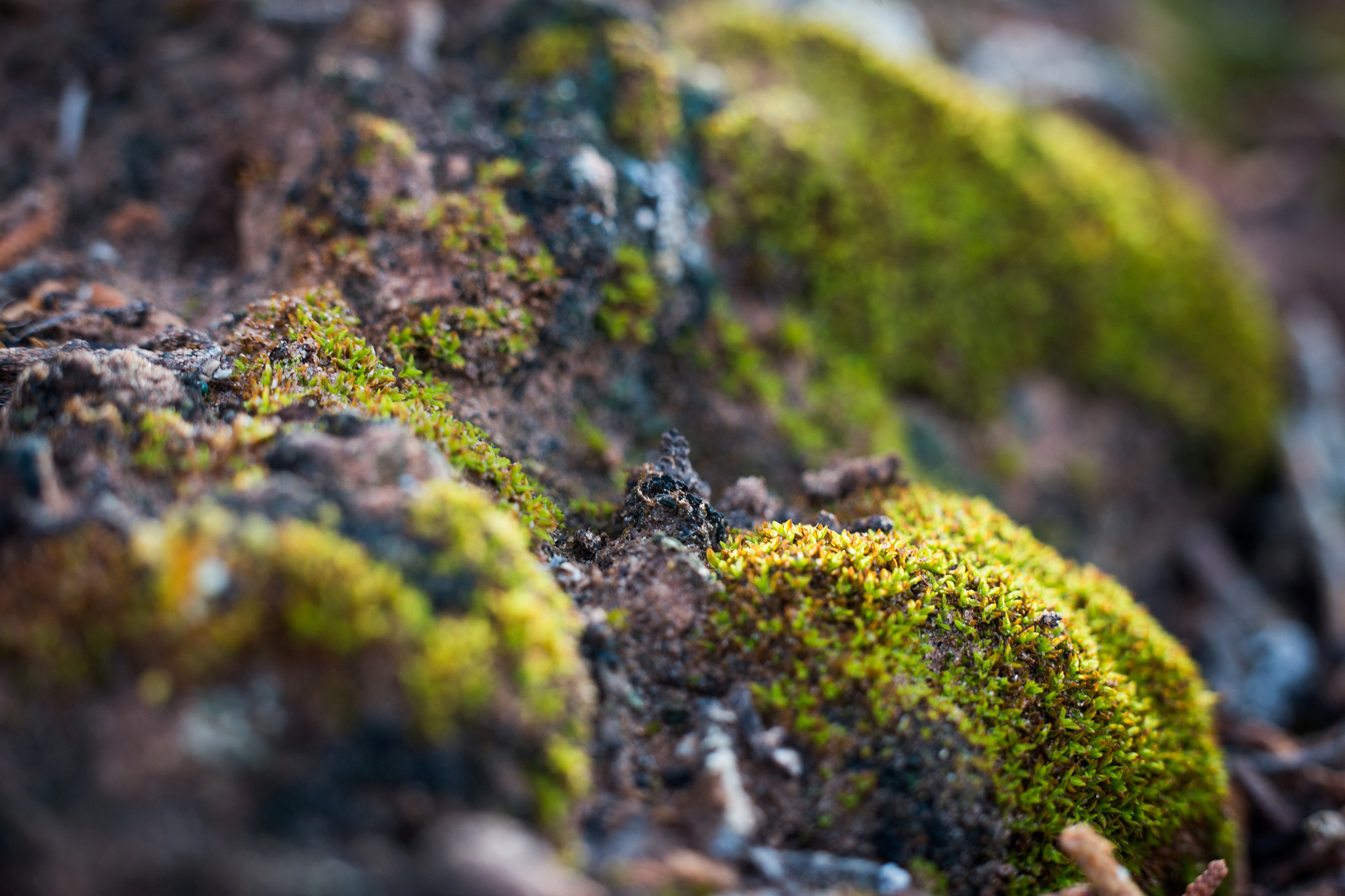 As the American West dries out, a secret savior emerges from the soil