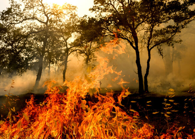 Gann Fire live updates: Fast-moving blaze threatens 919 homes