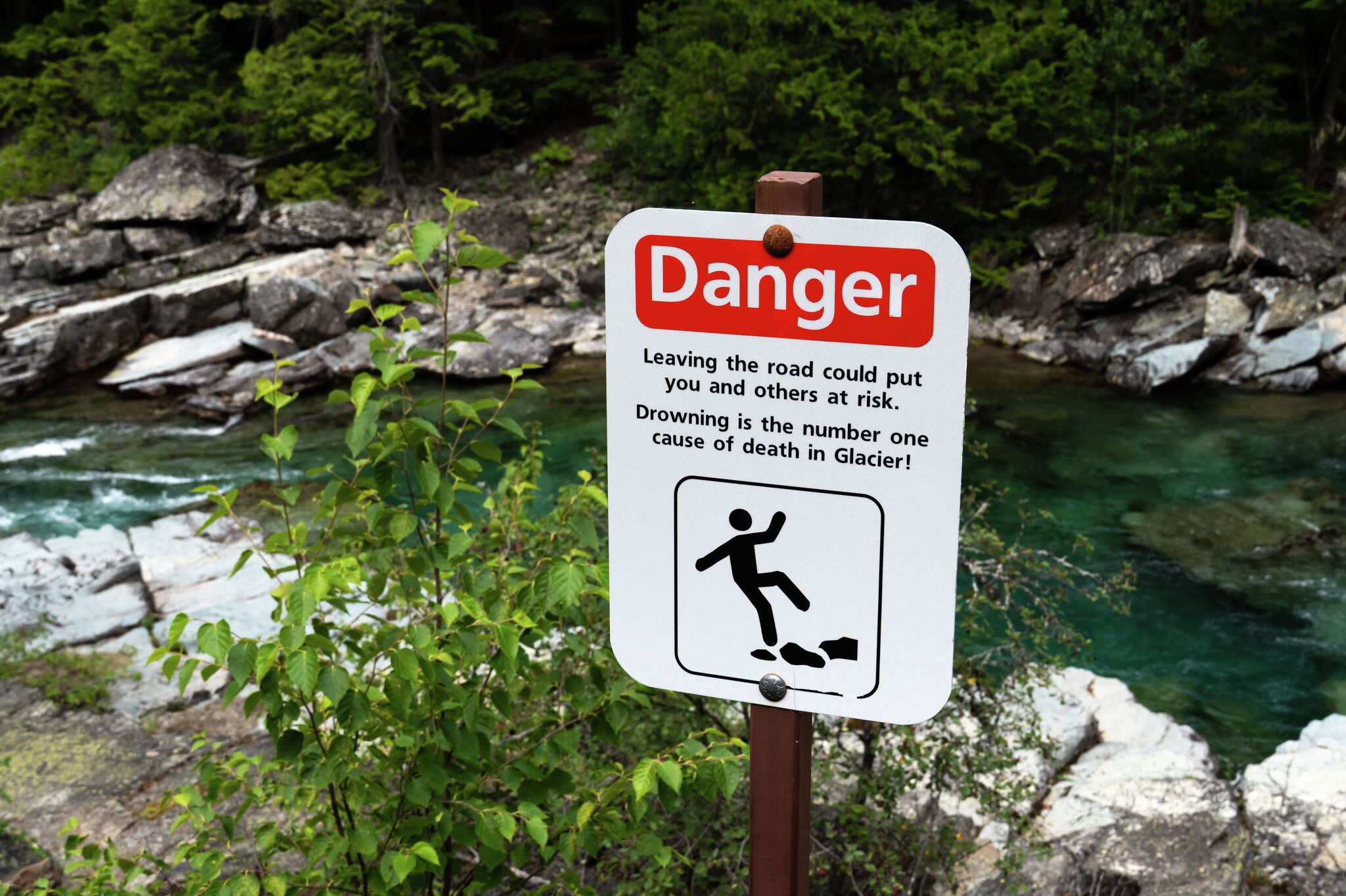 Heroic bystander saves man who fell 120 feet in Glacier National Park
