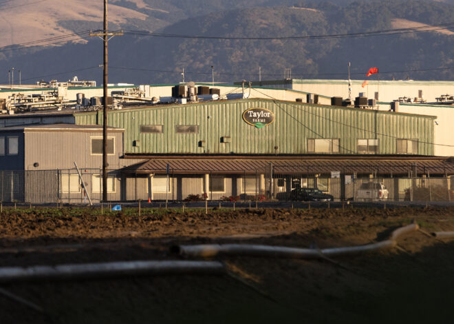 Taylor Farms says ex-president committed $32M fraud, including UC Berkeley gift