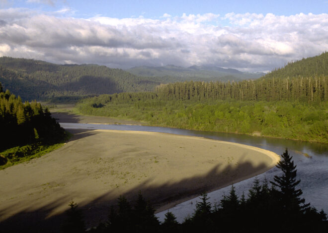 Humboldt County withdraws fines after penalizing homeowners $10K per day