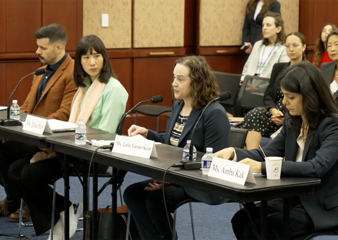Mother of Bay Area teen who died using ChatGPT gives emotional testimony