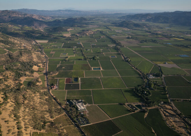 ‘It’s a s—t show’: St. Helena residents enraged by brown tap water