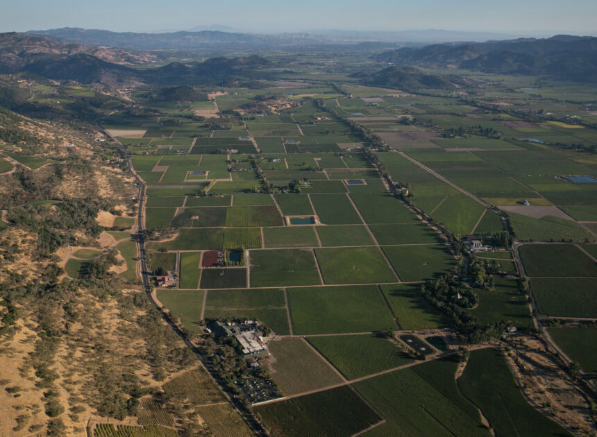 ‘It’s a s—t show’: St. Helena residents enraged by brown tap water
