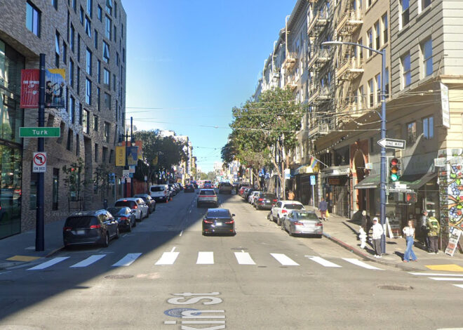 Woman who survived near-fatal San Francisco dog attack speaks out
