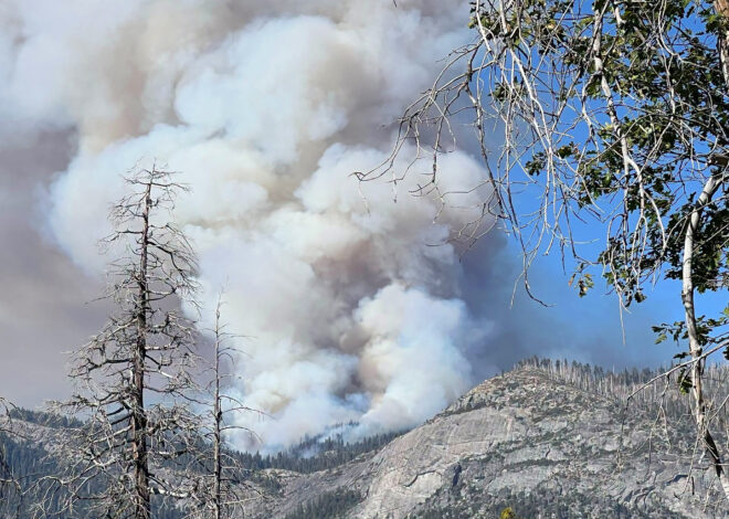 Yosemite wildfire explodes, reaching over 1,000 acres near Wawona
