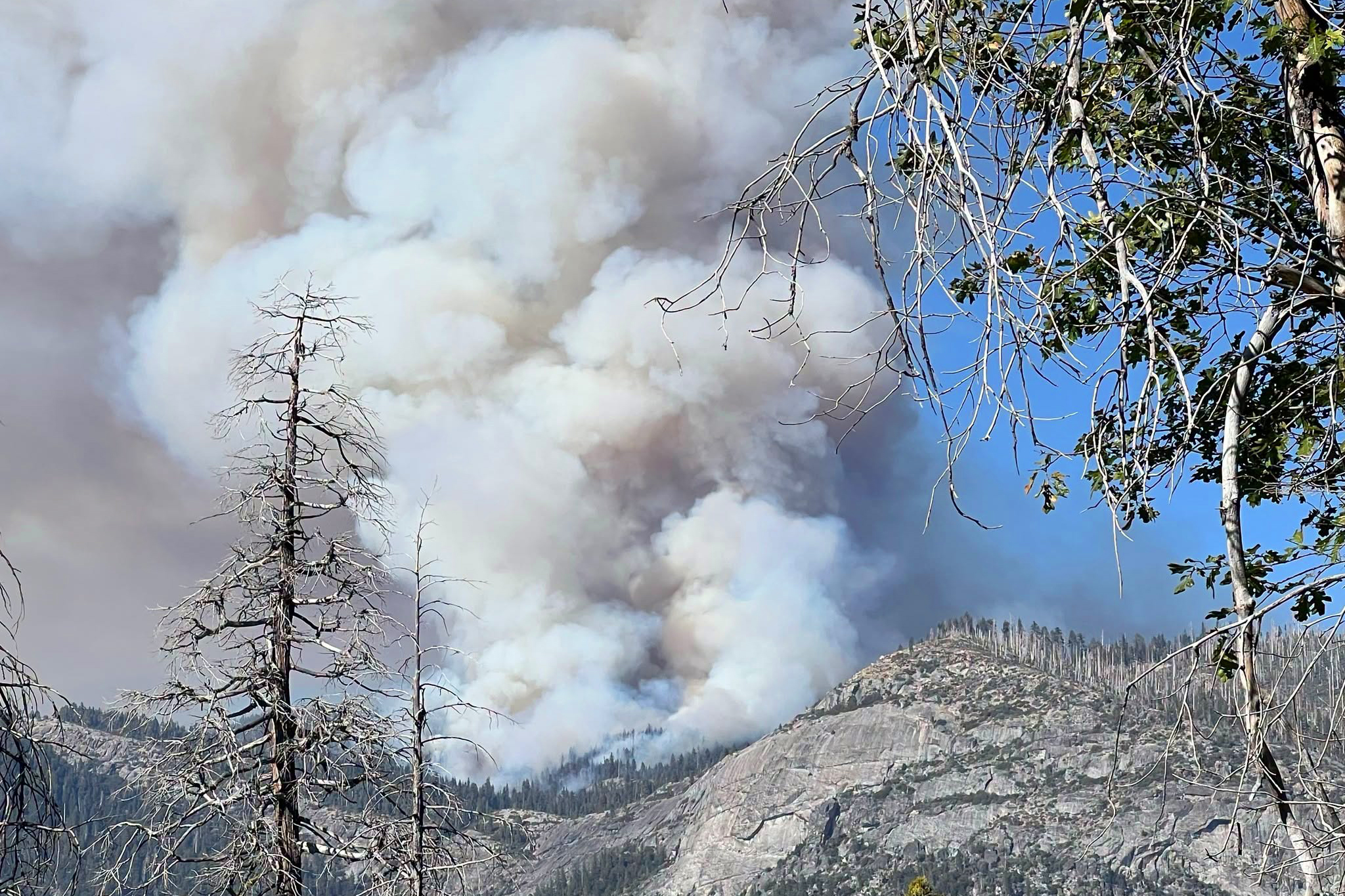 Yosemite wildfire explodes, reaching over 1,000 acres near Wawona
