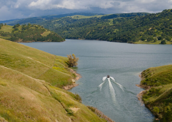 Golden mussels spread to East Bay’s Lake Del Valle for the first time