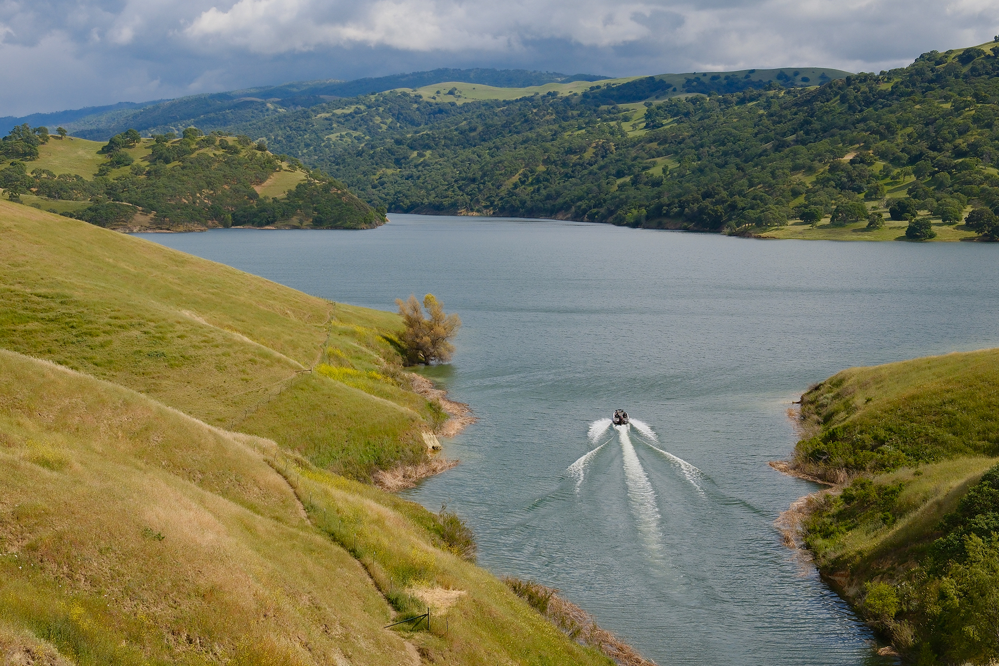 Golden mussels spread to East Bay’s Lake Del Valle for the first time