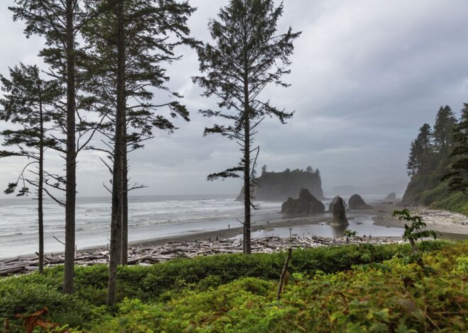 Emergency bridge repair to cut Olympic National Park in half