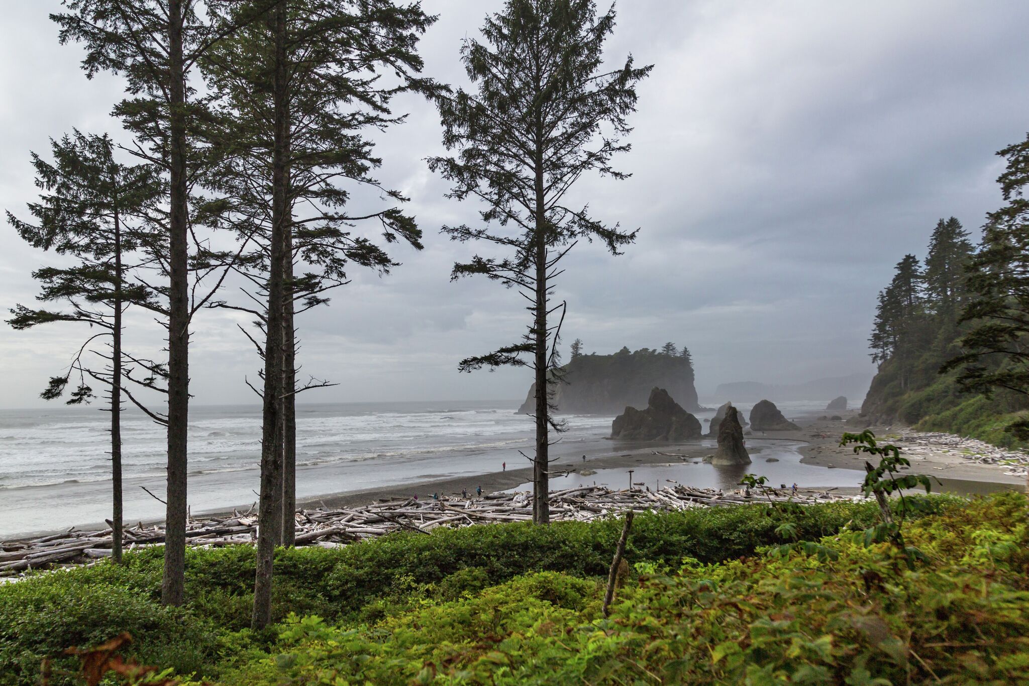 Emergency bridge repair to cut Olympic National Park in half