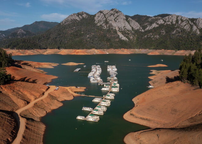 Man dies in Shasta Lake trying to save pet dog