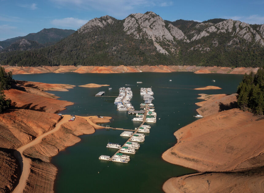 Man dies in Shasta Lake trying to save pet dog