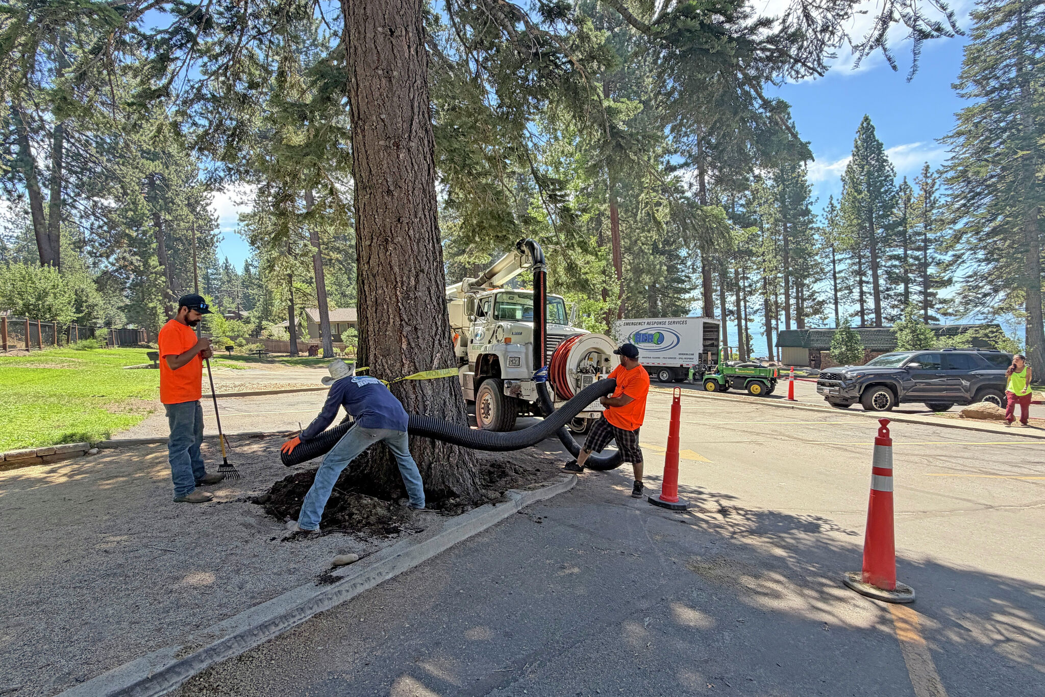 ‘Almost irreplaceable’: $147K reward to solve Tahoe’s poisoned trees case