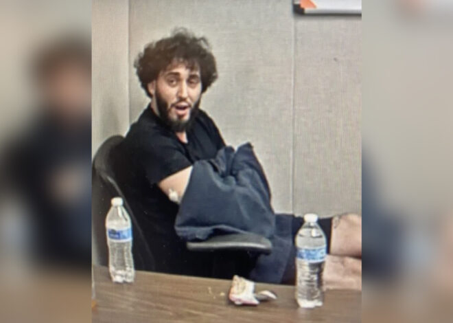 Calif. man accused of killing mother, brother with shotgun pleads insanity