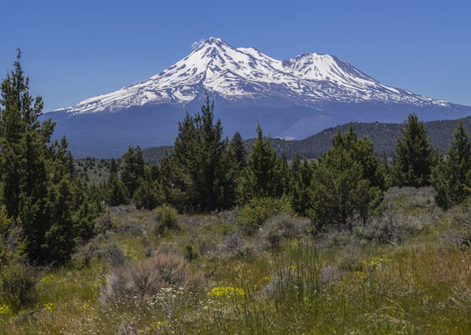 Novice Mount Shasta climbers rescued after relying on Gemini AI to plan trip