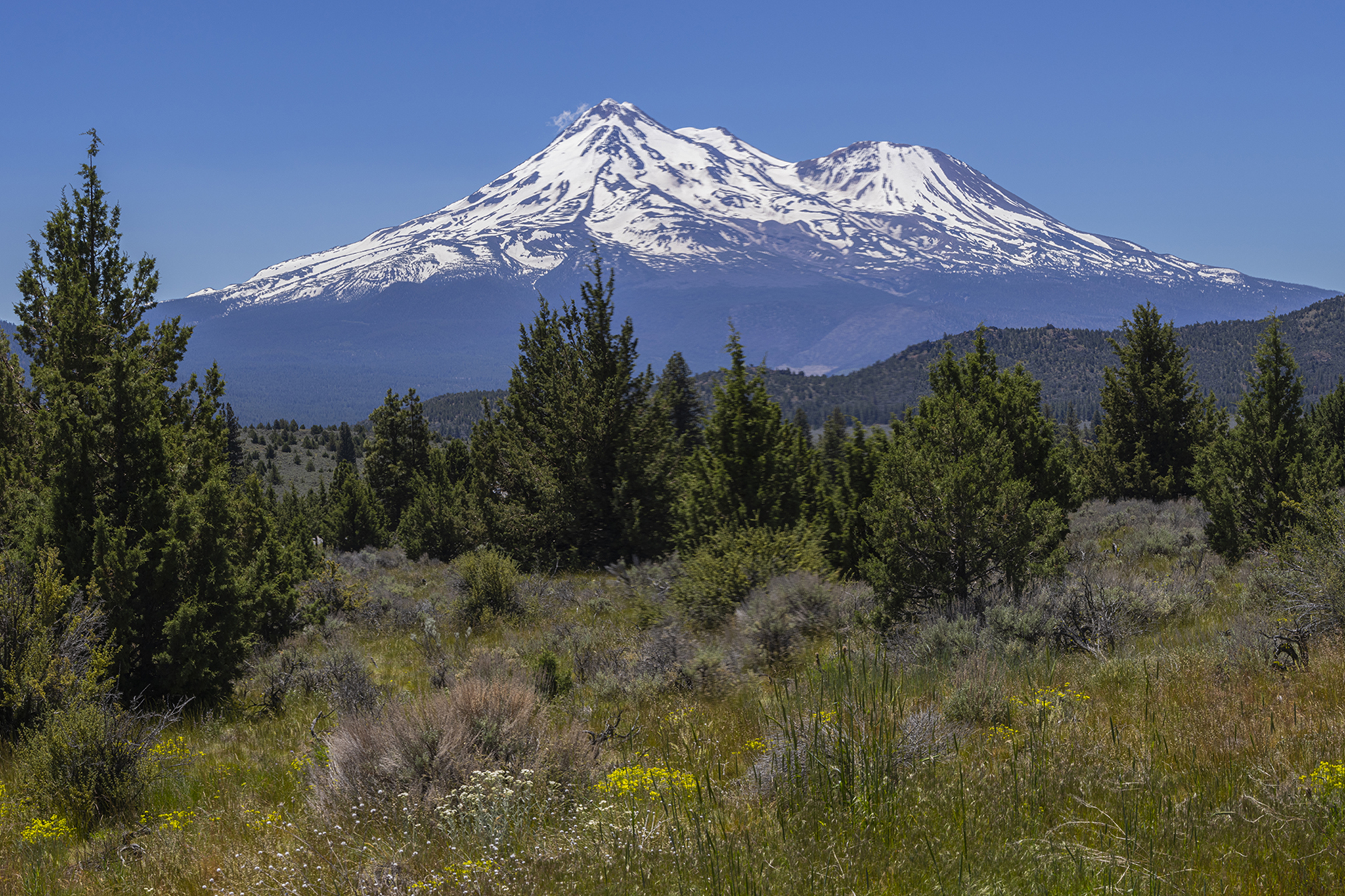 Novice Mount Shasta climbers rescued after relying on Gemini AI to plan trip