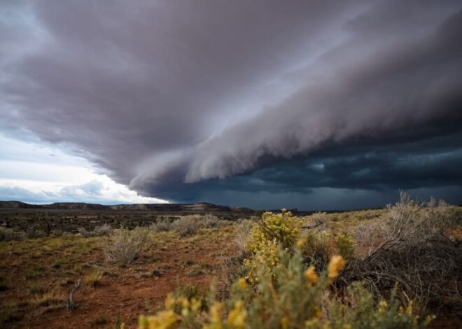 Desert flooding traps 70 ultramarathoners in ‘war zone’ conditions