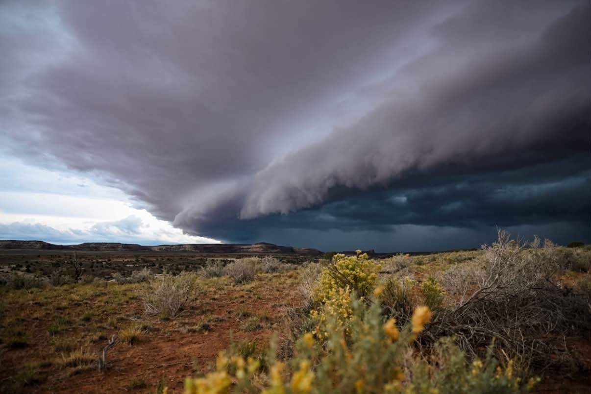 Desert flooding traps 70 ultramarathoners in ‘war zone’ conditions