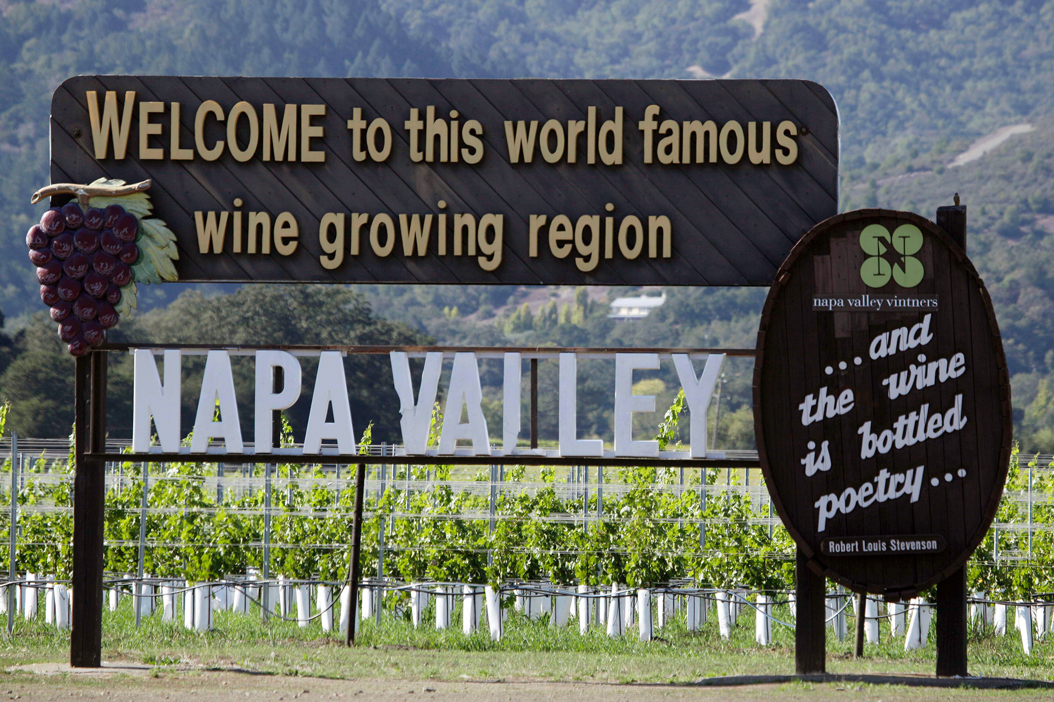 Napa town famous for wine and restaurants takes drastic action to fix dirty tap water